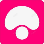 蘑菇短视频热门内容聚合展示平台