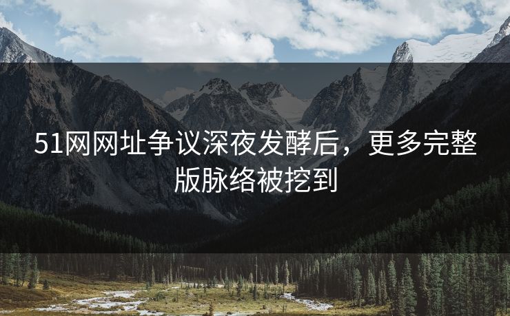 51网网址争议深夜发酵后，更多完整版脉络被挖到