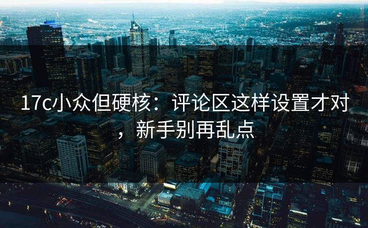 17c小众但硬核：评论区这样设置才对，新手别再乱点