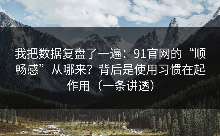 我把数据复盘了一遍：91官网的“顺畅感”从哪来？背后是使用习惯在起作用（一条讲透）